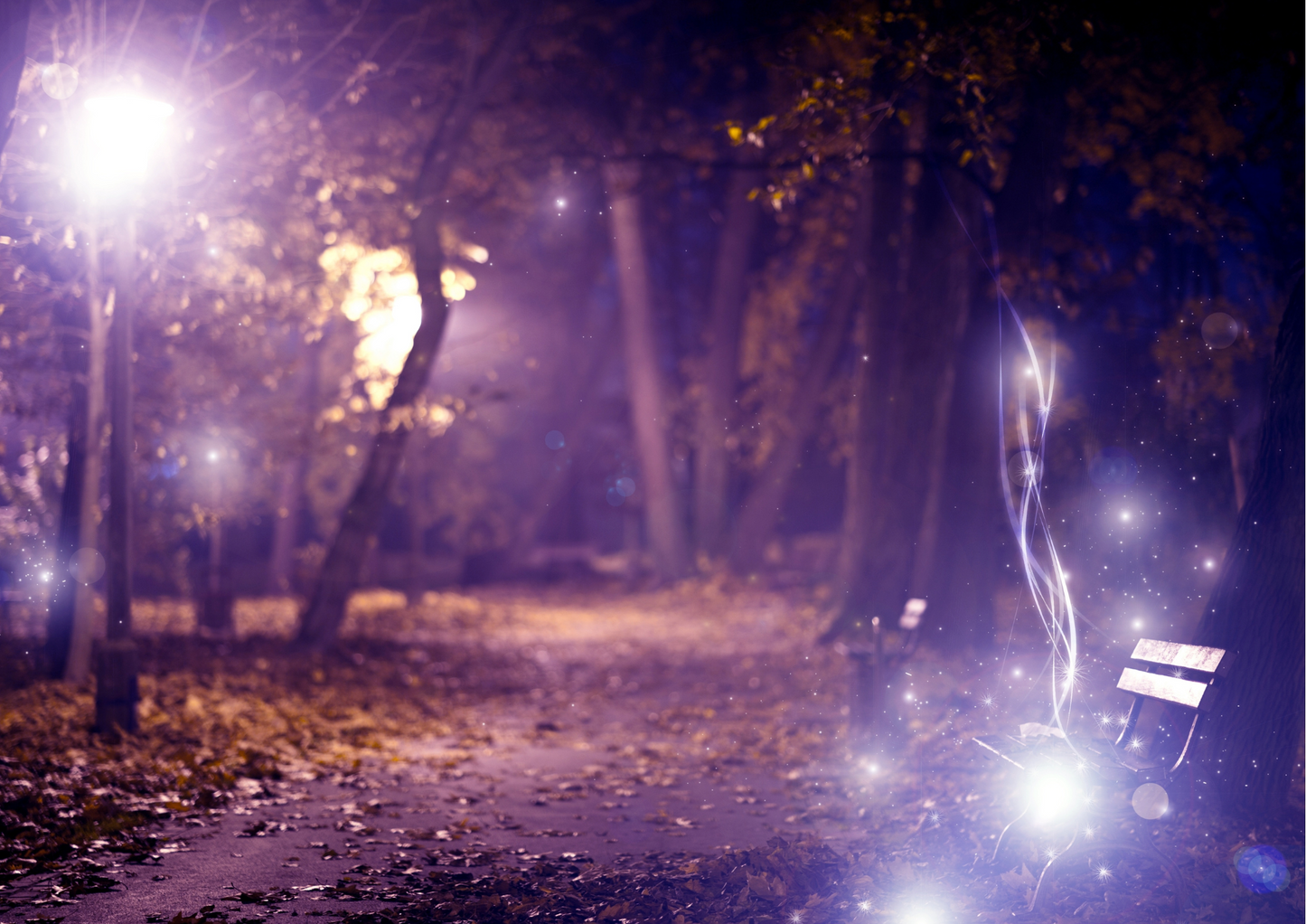 Idée inédite d'activité autour de la magie