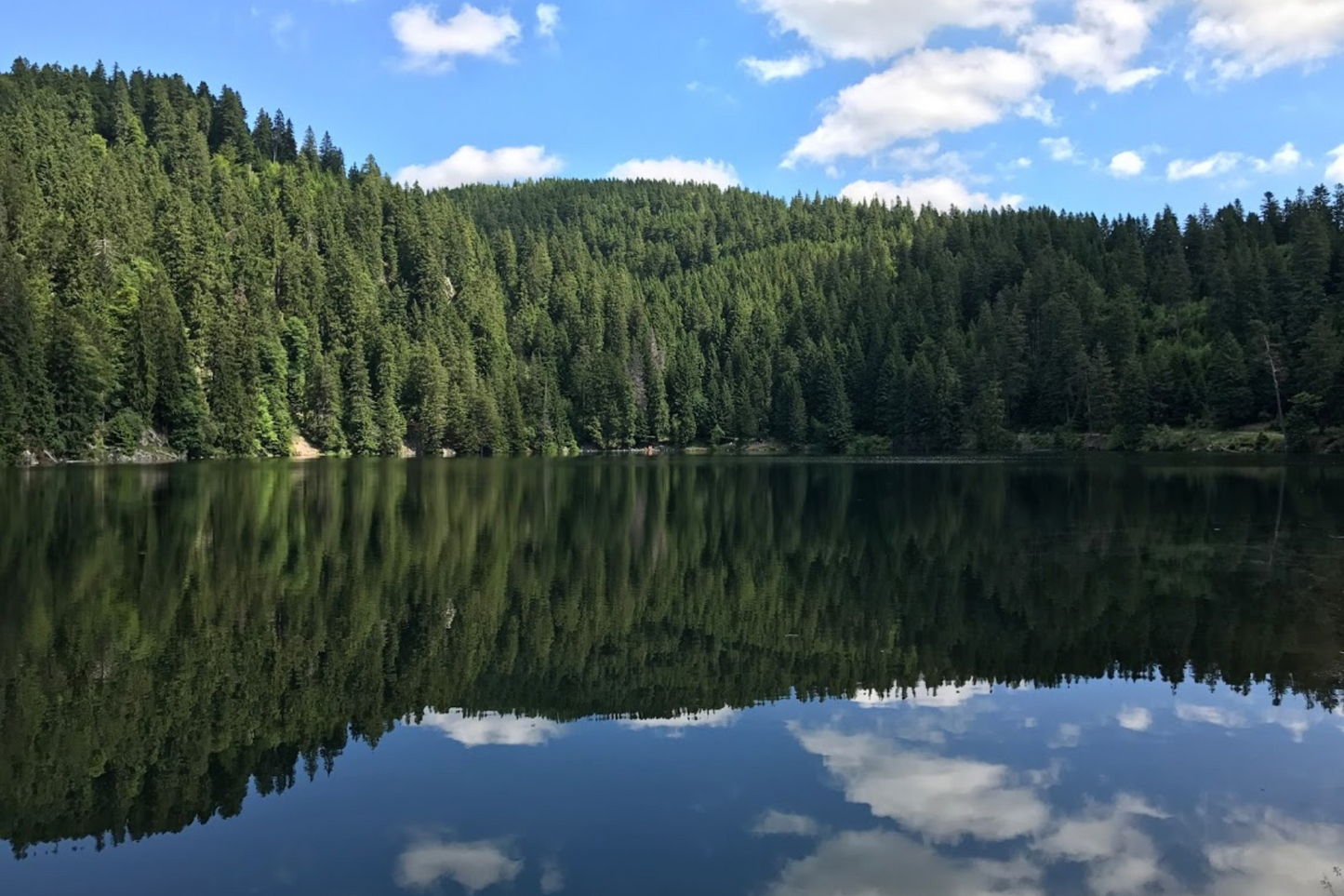 Rallye Lacs Vosgiens Vosges Explorer