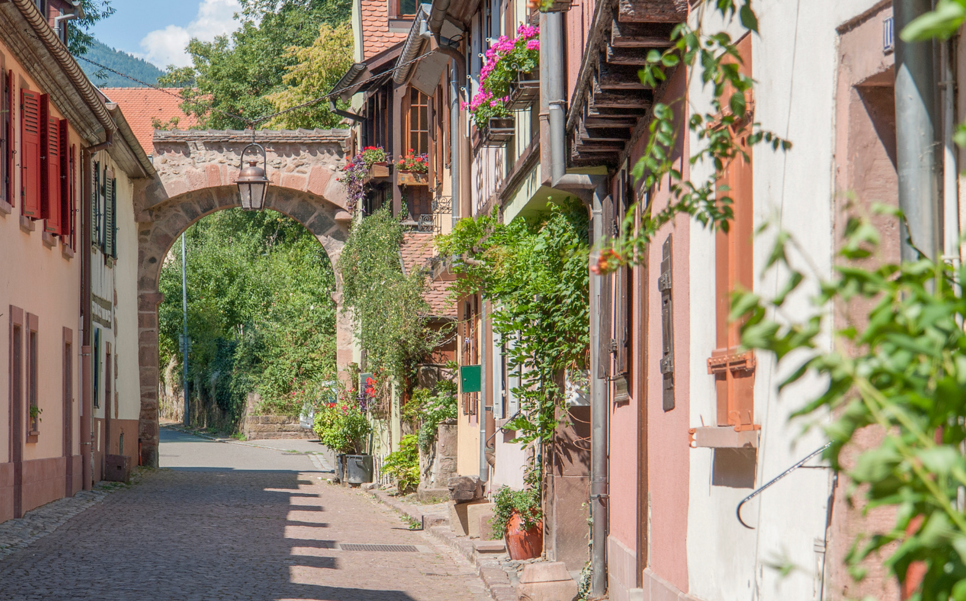 Village alsacien rallye route des vins