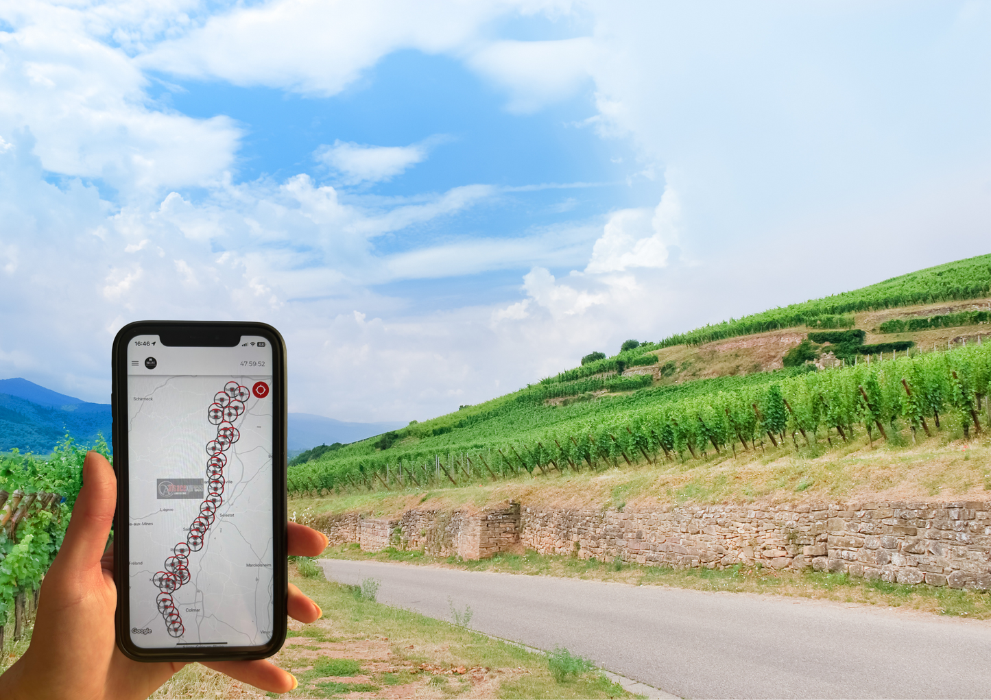 Rallye ludique sur la Route des Vins d’Alsace : découverte des villages typiques, traditions et vignobles en équipe avec AlsacExpress