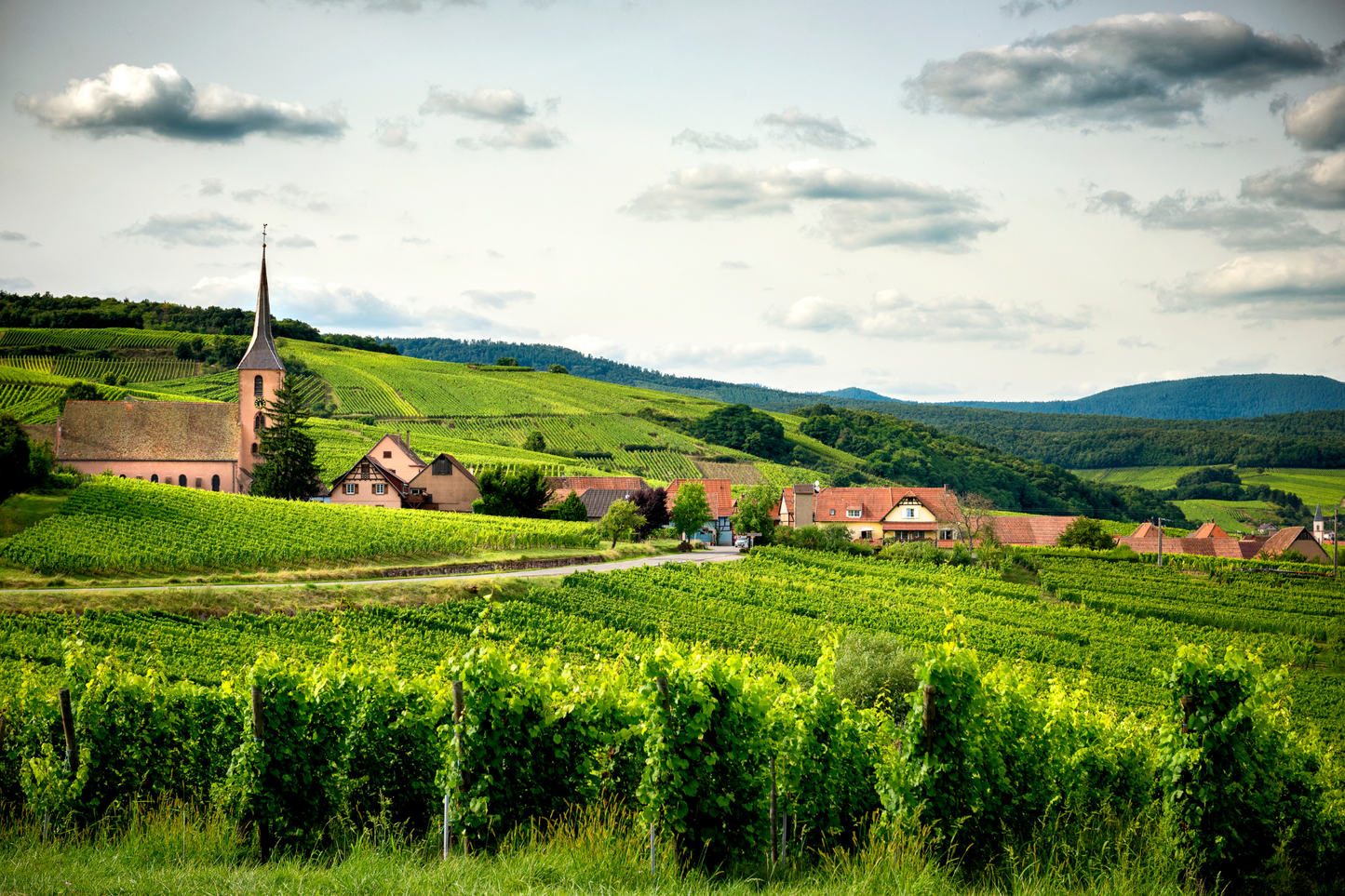 Défis collaboratifs en extérieur pour un séminaire sur la Route des Vins d’Alsace